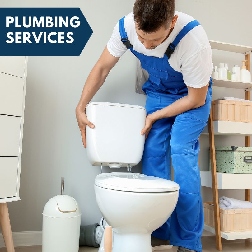 Plumbing Company in Wheatland, IA